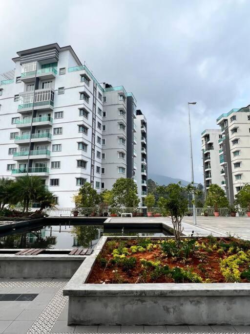 Lily King Tanah Rata